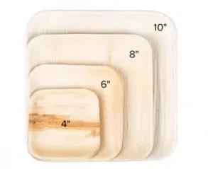 Eco Areca Leaf Square Shaped Plate - Modern square plate with clean lines for contemporary dining.